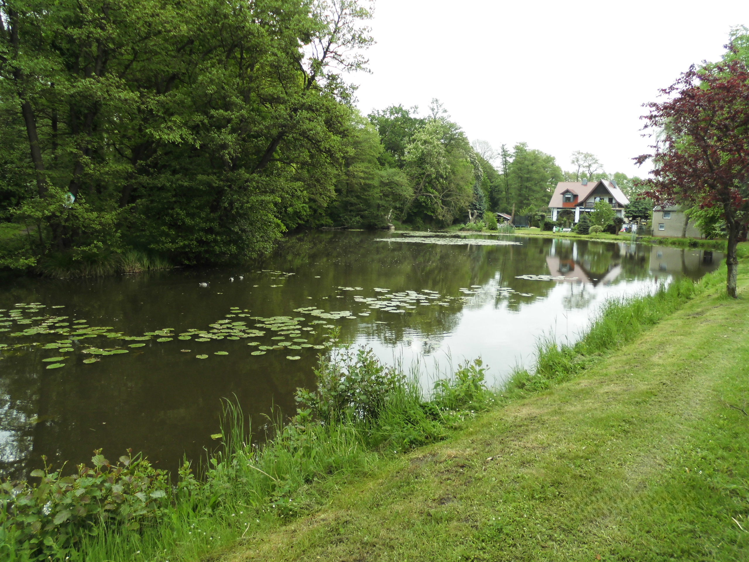 schlosspark moeckern